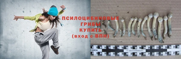 стафф Верея