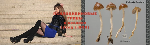 стафф Верея