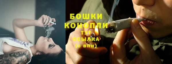 ПСИЛОЦИБИНОВЫЕ ГРИБЫ Верхний Тагил