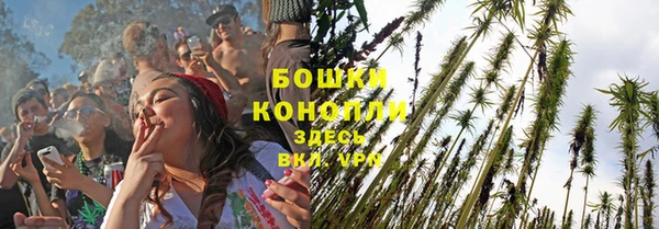 ПСИЛОЦИБИНОВЫЕ ГРИБЫ Верхний Тагил