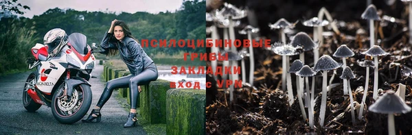 ПСИЛОЦИБИНОВЫЕ ГРИБЫ Верхний Тагил