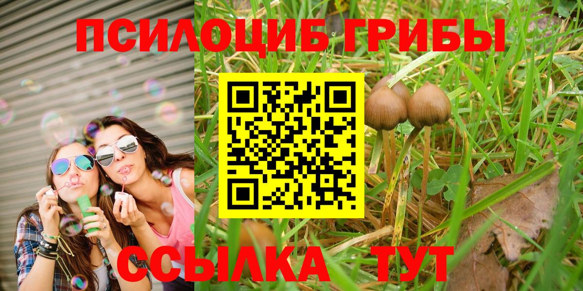 Галлюциногенные грибы GOLDEN TEACHER  Галлюциногенные грибы MAGIC MUSHROOMS  Глазов  Вход с VPN 