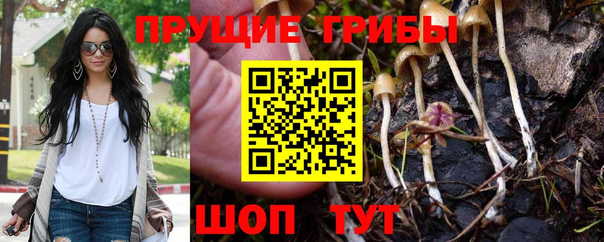 Галлюциногенные грибы Magic Shrooms Глазов